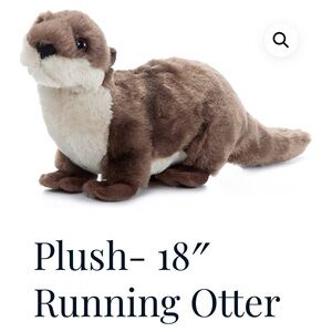 Florida National Park Otter